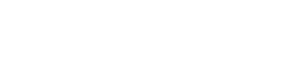 Logo CAIR33